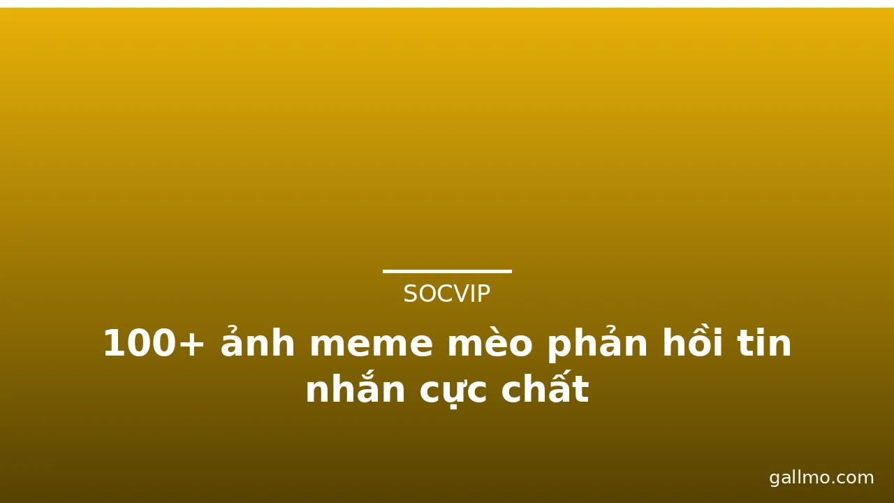 100+ ảnh meme mèo phản hồi tin nhắn cực chất · ảnh 1