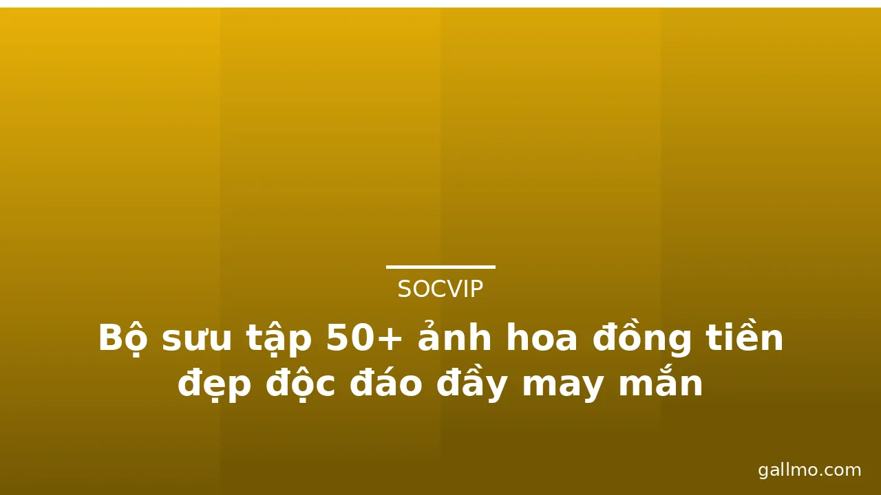 Bộ sưu tập 50+ ảnh hoa đồng tiền đẹp độc đáo đầy may mắn · ảnh 1