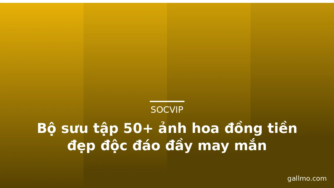 Bộ sưu tập 50+ ảnh hoa đồng tiền đẹp độc đáo đầy may mắn · ảnh 2