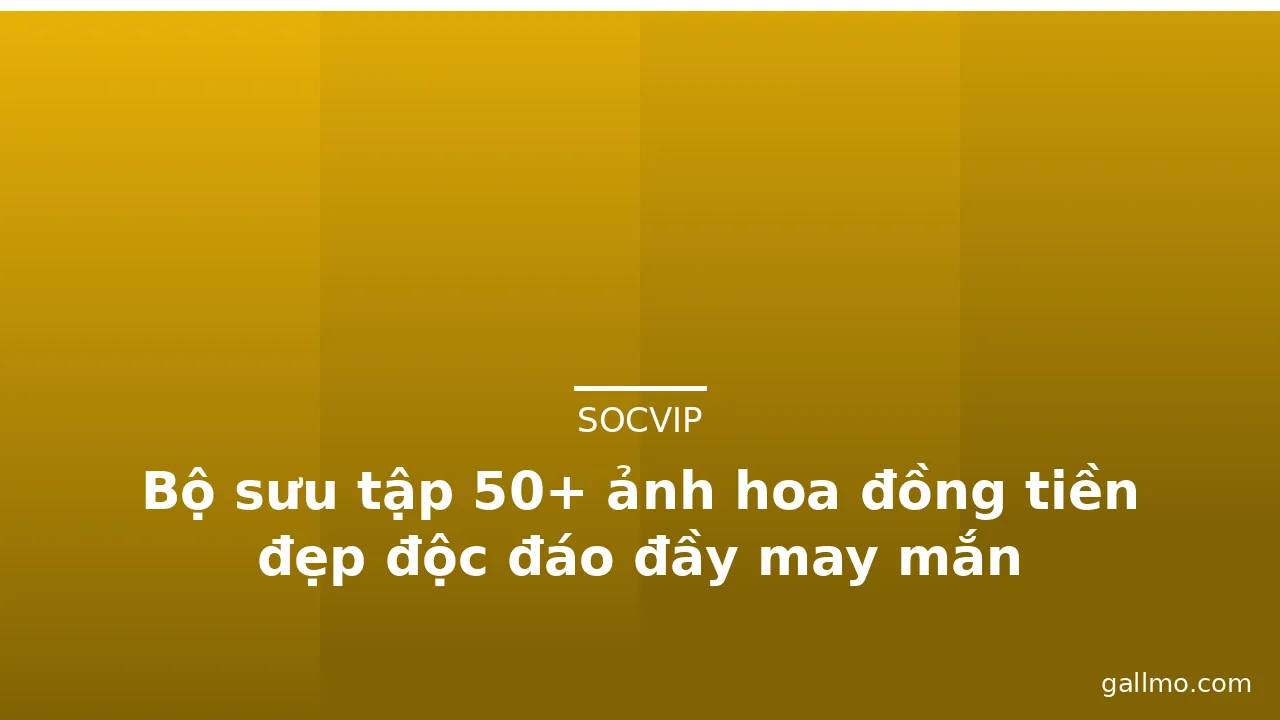 Bộ sưu tập 50+ ảnh hoa đồng tiền đẹp độc đáo đầy may mắn · ảnh 3