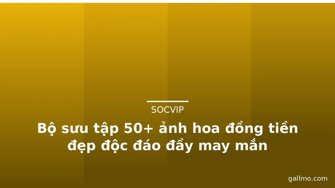 Bộ sưu tập 50+ ảnh hoa đồng tiền đẹp độc đáo đầy may mắn