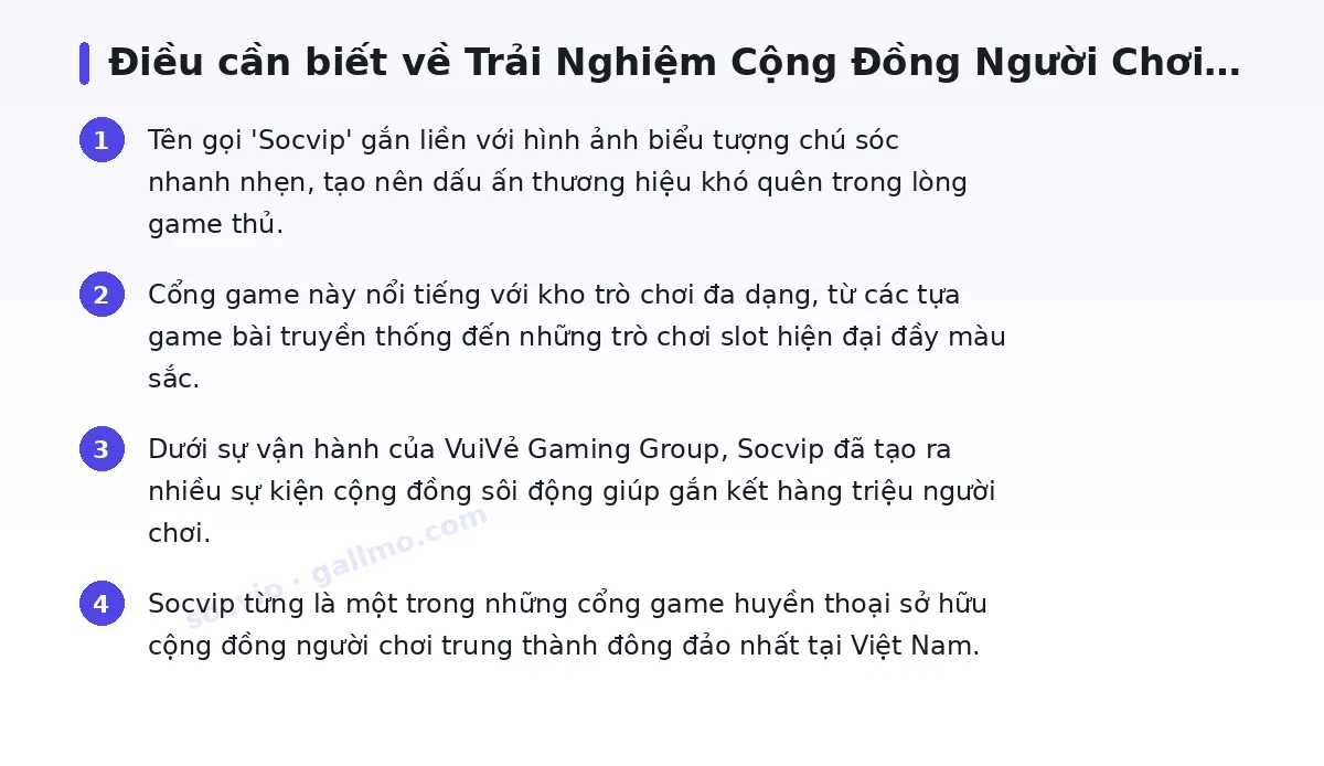 Những điều cần biết về socvip